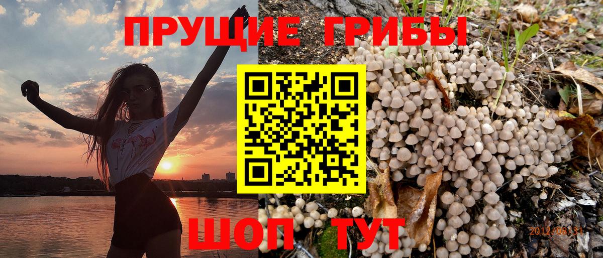 Галлюциногенные грибы прущие грибы  Вход с VPN  Псилоцибиновые грибы прущие грибы  Киреевск 
