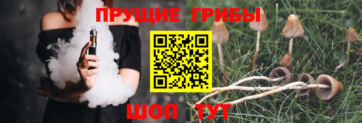 Псилоцибиновые грибы мухоморы Киреевск